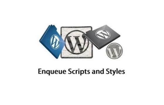 Cargar scripts personalizados en WordPress con o sin un plugin