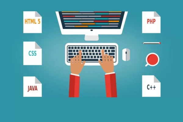 Desarrollador WordPress: Qué hace, habilidades y beneficios